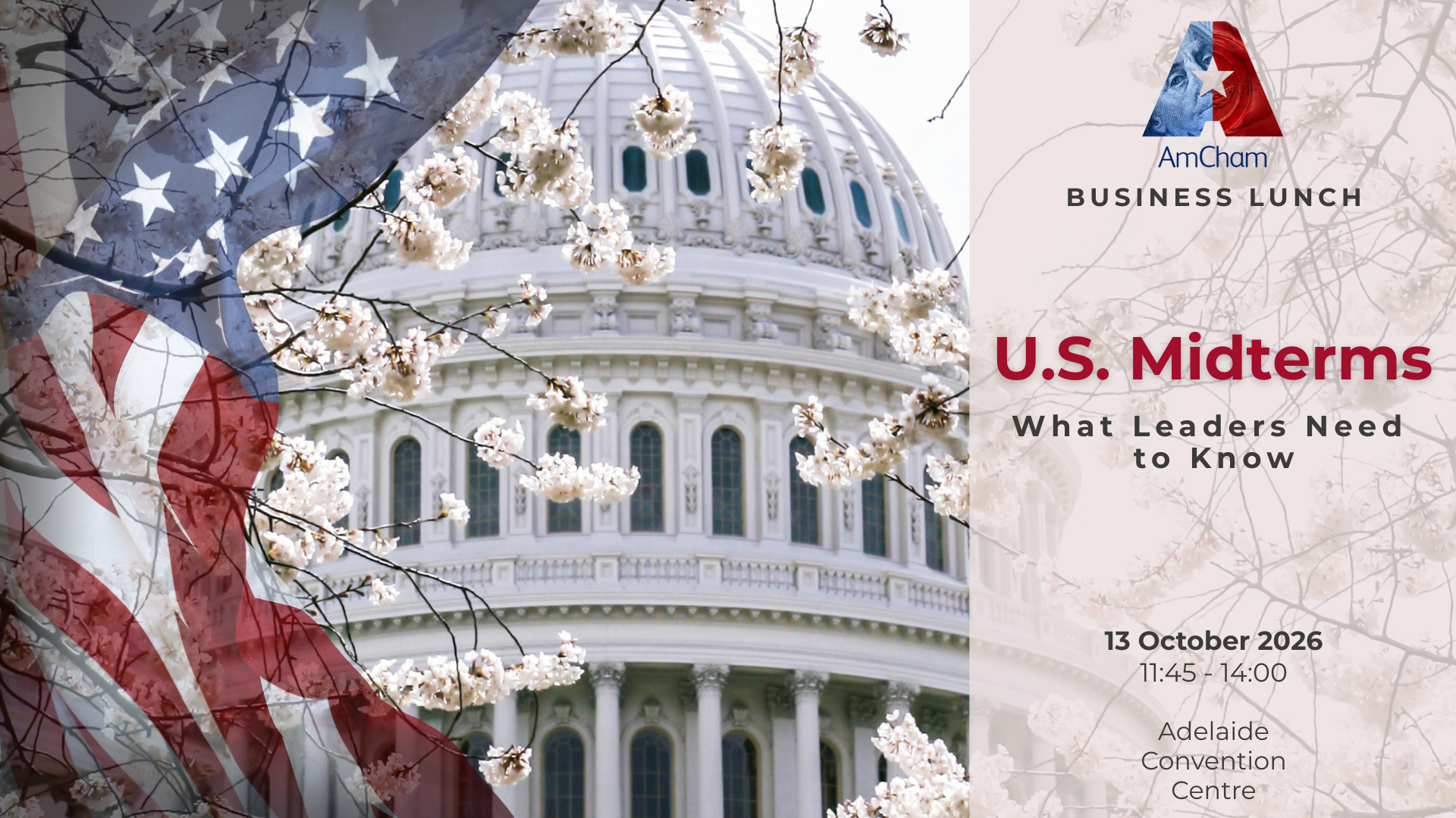 US Midterms Review Lunch 13 Oct 2026
